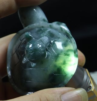 Cert ' d Green 100 Natural A JADE jadeite Small Statue tortoise 飘花 长寿龟 992346 3
