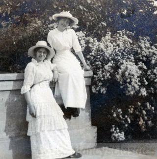1910 Beauty Young Women In White Sit On Wall Wild Tea Roses