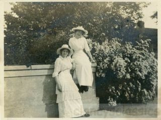 1910 Beauty Young women in White Sit on Wall Wild Tea Roses 2