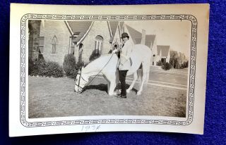 Vtg B&w Snapshot Photo Trick Horse Bowing W/ Trainer 1934 Dallas Texas