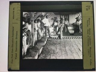 Vintage Glass Magic Lantern Slide Mexico,  Natives,  Coffee Workers1927