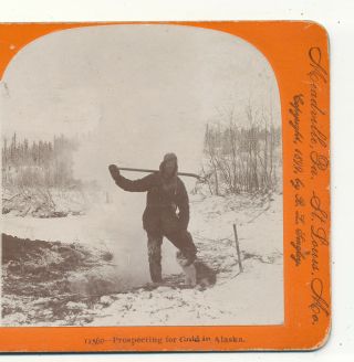 Miner Prospecting For Gold With Alaskan Malamute Dog Ak Keystone Stereoview 1899