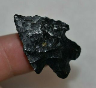 Great 1 1/4 " Obsidian Elko Split Stem,  Lake Co. ,  Oregon Authentic Arrowhead H99