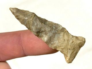 Colorful Fish Spear Point Knox Co. ,  Ohio Authentic Arrowhead Artifact B927
