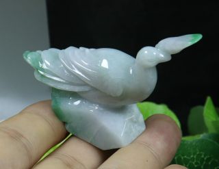 Cert ' d Green 100 Natural A JADE jadeite SMALL Statue golden pheasant 锦鸡 980922 2