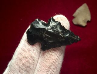 Authentic Obsidian Indian Arrowhead Bird Point / Native American Indian Artifact