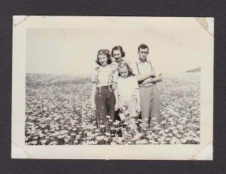 Angry Dad W/family Field Wildflowers Old/vintage Photo Snapshot - M127