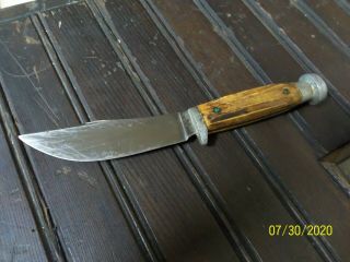 Vintage Queen Hunting Knife Fixed Blade Stag ? Bone ? Wood ? Handle