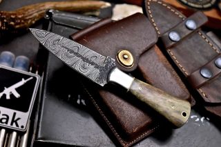 CFK IPAK Handmade Hammered Damascus Custom Camel Bone Boot Dagger Pugio Knife 3