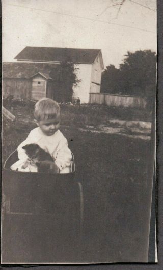 Vintage Photograph 1920 - 30s Little Boy Toy Wagon Cats/kittens Michigan Old Photo