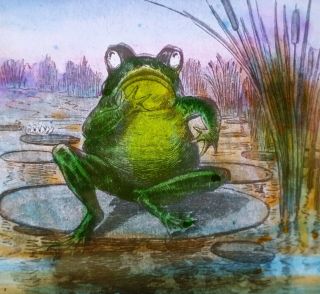 Comic Drawing: Frog On A Lily Pad,  Magic Lantern Glass Slide