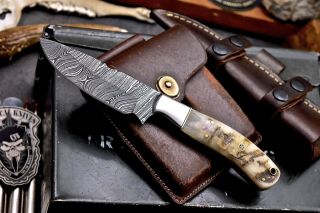 Cfk Ipak Handmade Twist Damascus Custom Sheep Horn Hunting Skinning Blade Knife