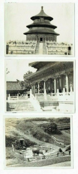 Old Chinese Photographs Peking / Beijing China Vintage C.  1910