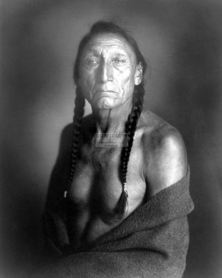 Curley Bear Native American Blackfoot Indian Roland W.  Reed 8x10 Photo (da - 076)