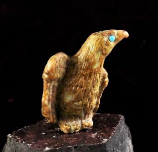 Zmt Mini Zuni Eagle Fetish By Travis Nieto - Picasso Marble Stone