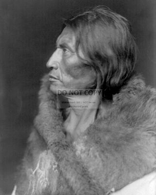 Mosquito Hawk Assiniboin Indian Circa 1905 Edward S.  Curtis 8x10 Photo (op - 360)