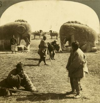 Keystone Stereoview Sleeping Elephants,  Nanking From 1920s Rare China Set 46 Lc