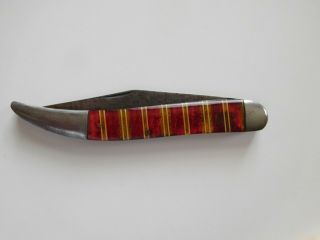 Antique Vintage Remington 5 " Texas Toothpick Candy Stripe Handles Pocket Knife