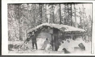 Vintage Photograph Gun/hunting Dog Logging Camp Logger Duluth Minnesota Photo