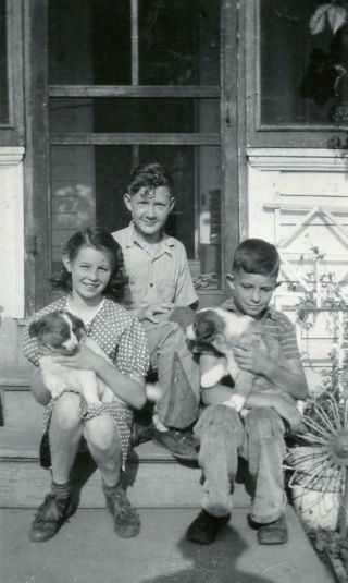W420 Vtg Photo Children On Steps Holding Puppies,  Dogs C 1930 