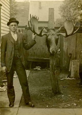 Vintage Hunting Photo Man Posing With Moose Head Photo Print 5x7