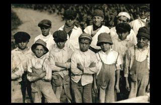 1917 Children Tobacco Farm Workers Photo Child Labor Farm Boys Girls