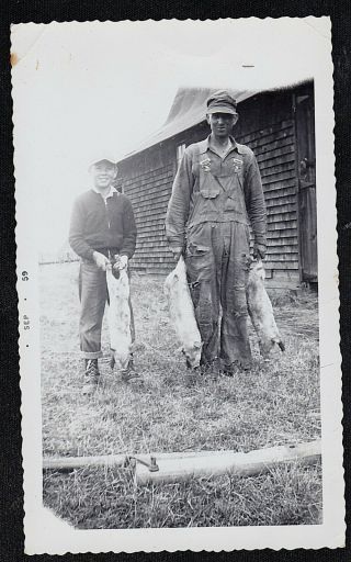 Antique Vintage Photograph Young Boy & Man In Overalls Holding Dead Animals