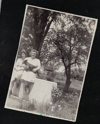 Antique Vintage Photograph Two Women In Garden Holding Cute Puppy Dog