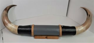 Mounted Bull Horns Steer Horns 29.  5 " Cow Horn Leather Mounted 202