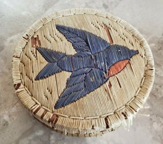 Antique Great Lakes Quill Birch Bark Sweetgrass Box Native American Blue Bird