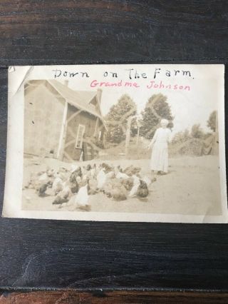 Rare Aged Vintage Sepia Tones Woman With Chicken On The Farm Photo Pic