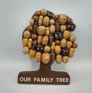 Vtg Wooden Our Family Tree Wall Hanging Nuts With Googley Eyes Craft