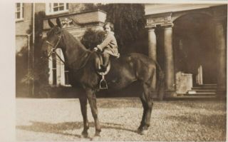 Old Photo Children Girl House Riding Horse Animal Th53