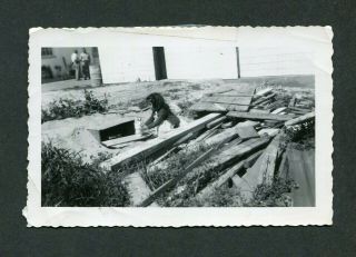 Unusual Vintage Photo Cute Girl In Peril Playing W/ Bunny In Rubble 985044
