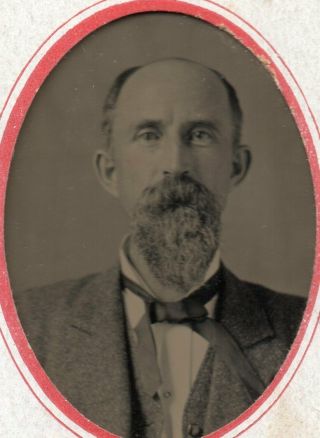 Tin Type Photo Of Balding Man Great Tie And Beard In Paper Frame