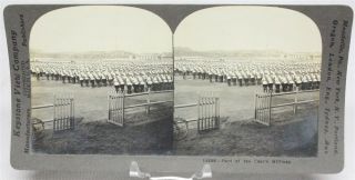 Wwi Stereoview Card: Large Group Of Russian Soldiers In Dress Uniforms