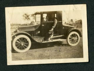 Vintage Photo 1920s Chevrolet Chevy Car Pet Dog 429038