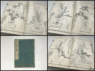 1800s Japanese Antique Ikebana Book Vintage Kanji Picture Flower Design V222
