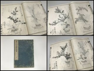 1800s Japanese Antique Ikebana Book Vintage Kanji Picture Flower Design V224