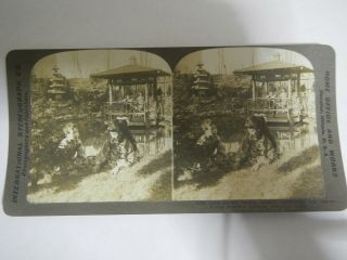 Stereoview Card Young Japanese Learning American Ways Love Photo 1905 Wasson