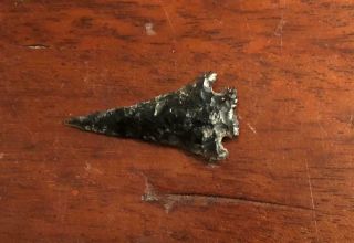 Authenticated Elko Eared Arrowhead With - Graded As 10