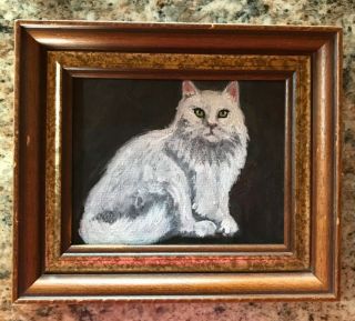 Vintage Fluffy White Cat Painting Antique Framed Folk Art