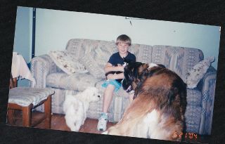 Old Vintage Photograph Little Boy With Cat - St Bernard & Poodle Puppy Dog 2004