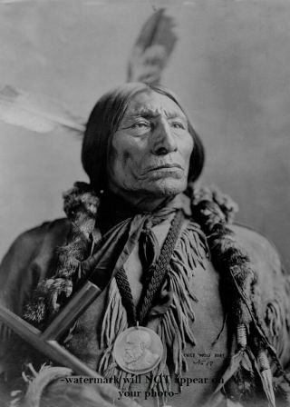 1904 Chief Wolf Robe Photo Southern Cheyenne Native American Indian Leader