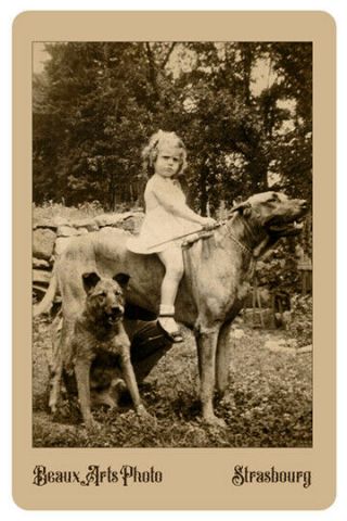 Young Girl Riding A Dog Vintage Photograph Reprint Cabinet Card Cdv