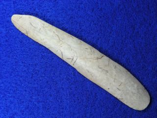 Bone Tool Cave Find 3 1/2 " Oregon Guaranteed Authentic Indian Relics