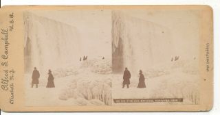 On the Ice Bridge Niagara Falls NY Alfred Campbell Stereoview 1896 2