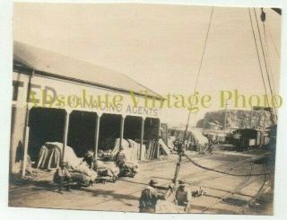 Old Photograph Hobart Docks ? Tasmania Australia Vintage 1920s
