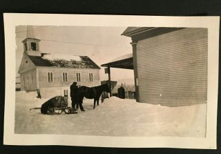 Vintage Photo Man With Horse Pulling Snow Sled Getting Supplies In Town 3286