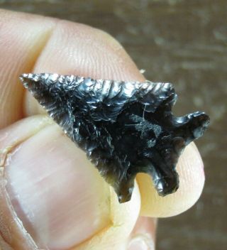 Translucent Obsidian Archaic Elko Point,  Lake Co.  Or.  X Anderson L.  1.  1/8